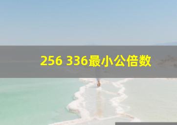 256 336最小公倍数